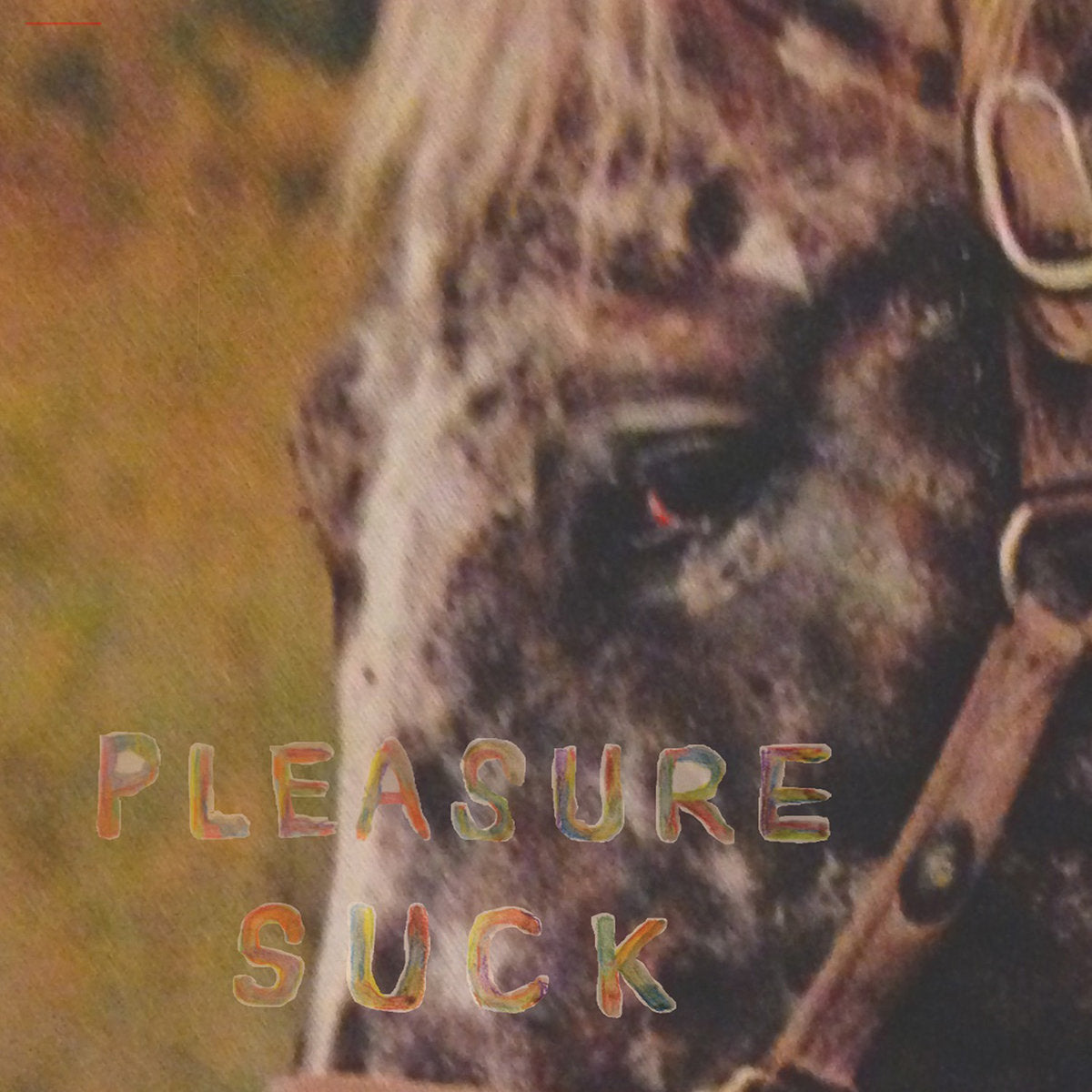 Spirit of the Beehive - Pleasure Suck