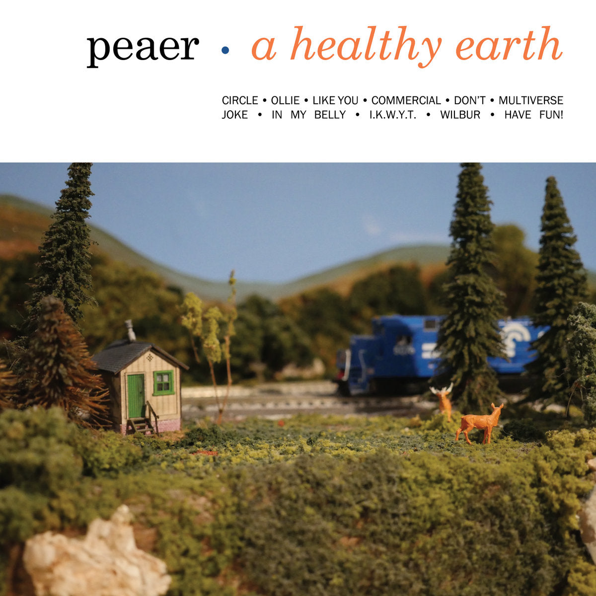 Peaer - A Healthy Earth